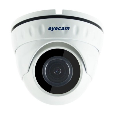 Camere IP Camera IP full HD 1080P Sony Dome 20M Eyecam EC-1350 Eyecam