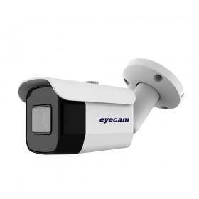 Camere IP Camera supraveghere IP exterior 30M Eyecam EC-1375 1080P Eyecam