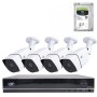 Pachet Kit supraveghere video AHD PNI House PTZ1300 Full HD - NVR si 4 camere exterior 2MP full HD 1080P cu HDD 1Tb inclus, Intr