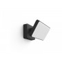 Proiector LED RGB inteligent Philips Hue Discover, 2x15W, 2300 lm, lumina alba si color (2000-6500K), IP44, 160x220x153mm, Negru